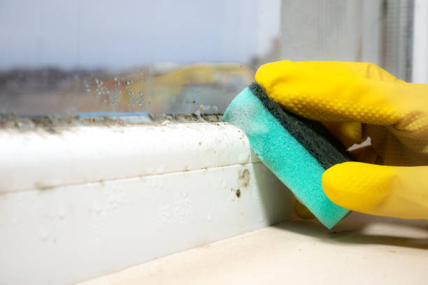 Best Post-Remediation Services in Fishersville, VA