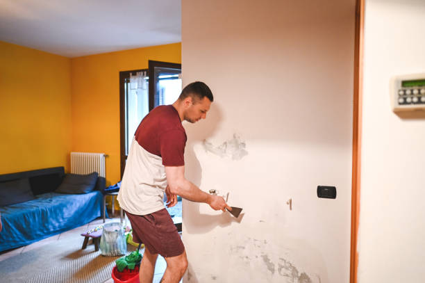 Best Health and Safety Mold Remediation in Fishersville, VA